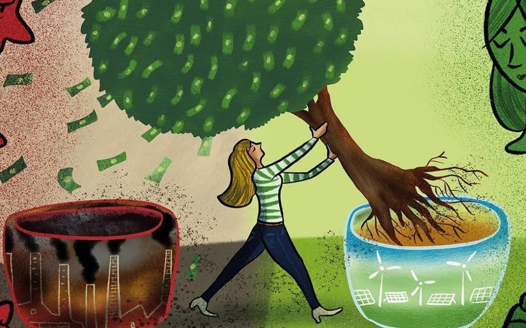 Conviene valutare indici in versione SRI o meglio i classici?